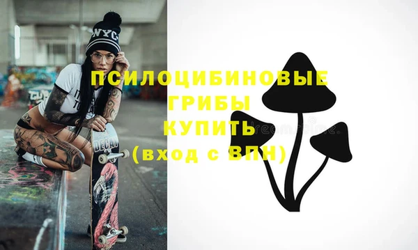 прущая мука Абаза